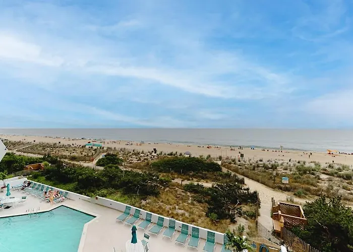 Pyramid 3l * Ocean Stadt